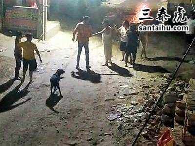 德里男子拒绝对狗道歉，结果被捅死
